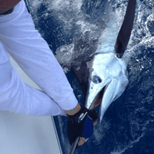 Fishing in Punta Cana