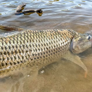 Fishing in Dar es Salaam