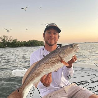 Fishing in Belleair Bluffs