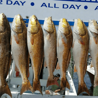 Fishing in Biloxi