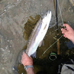 Fishing in Broken Bow