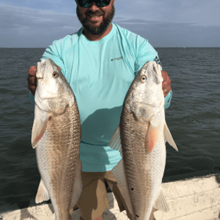 Harlingen
