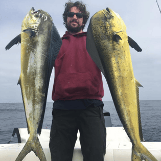 Fishing in Dana Point