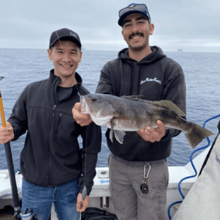 Fishing in Los Angeles