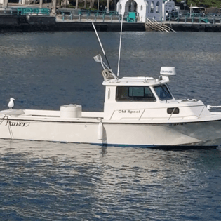 Fishing in Newport Beach