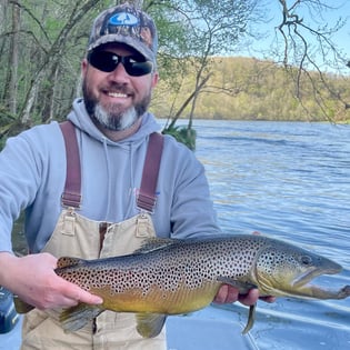 Fishing in Cotter