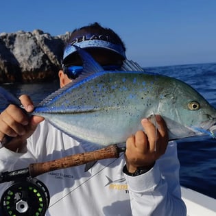 Fishing in Punta Mita