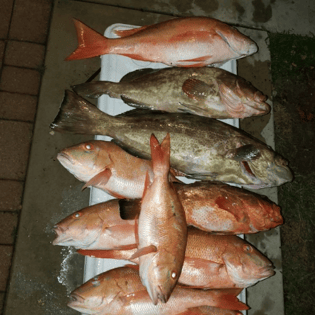 Fishing in Coral Gables