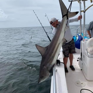 Fishing in Dauphin Island