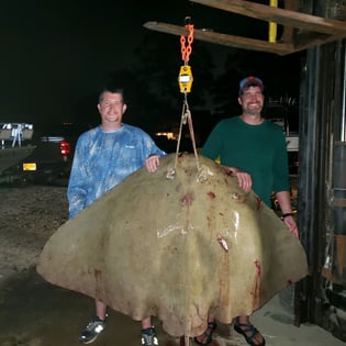 Fishing in Ocean Pines