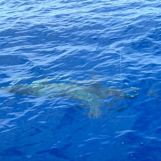 Fishing in Rincon