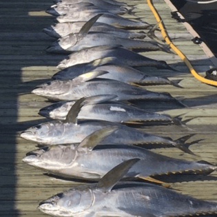 Fishing in Cape May