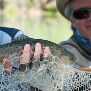 Fishing in Basalt