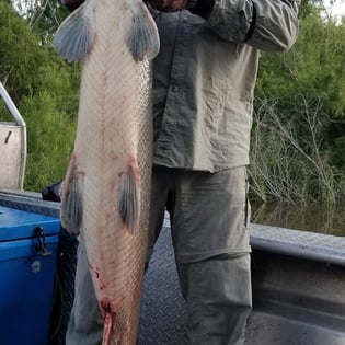 Fishing in Houston