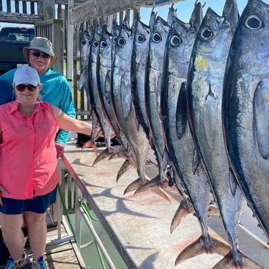 Bigeye Tuna