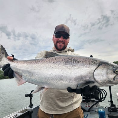 Chinook Salmon