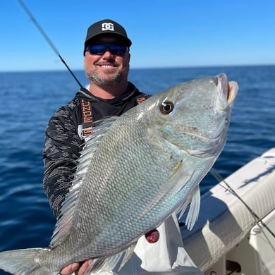 Bream