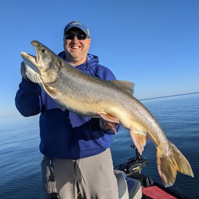 Lake Trout