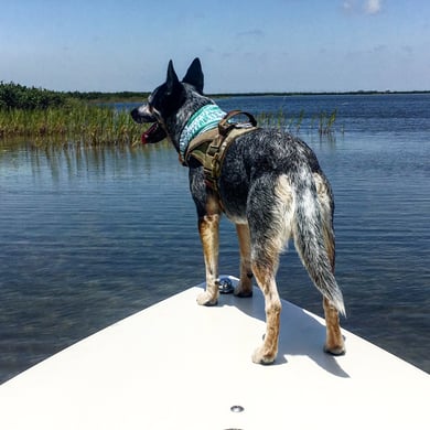 Aransas Pass