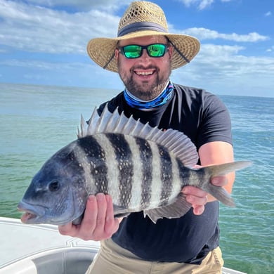 Sheepshead