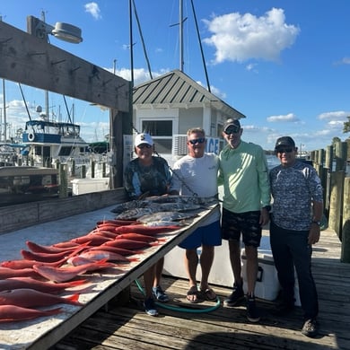 Vermillion Snapper