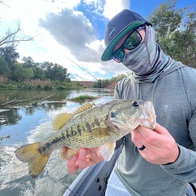 Smallmouth Bass
