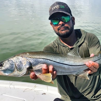 Snook