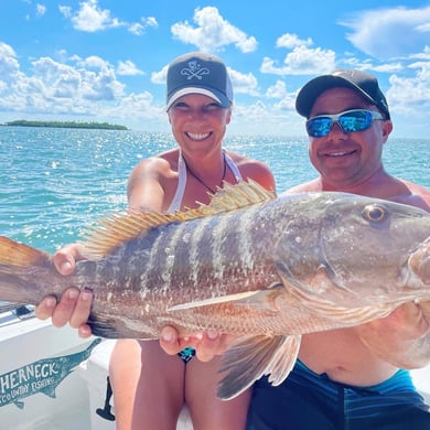 Cubera Snapper