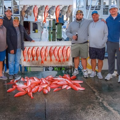Vermillion Snapper