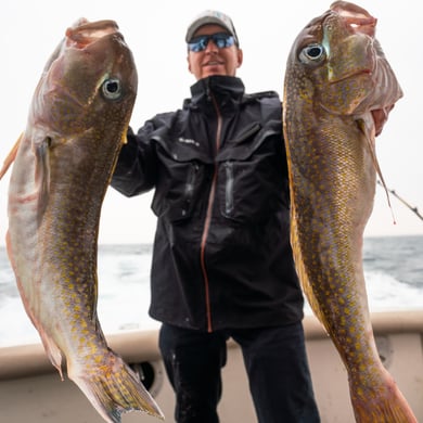 Tilefish