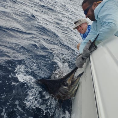 Marlin Fishing - Blue Marlin Fishing - Kona, HI, Marlin Tournament Fishing