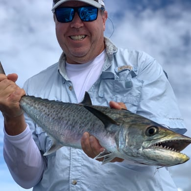 Spanish Mackerel