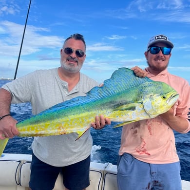 Mahi Mahi