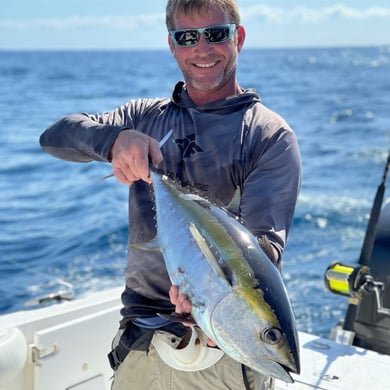 Blackfin Tuna
