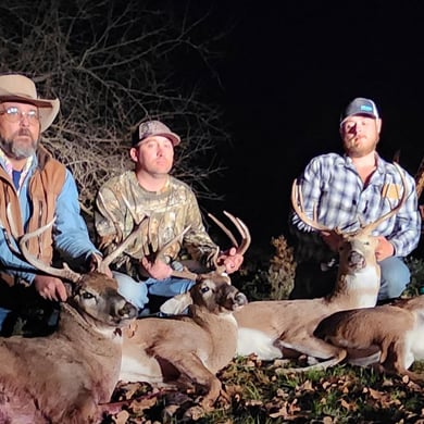 Whitetail Deer