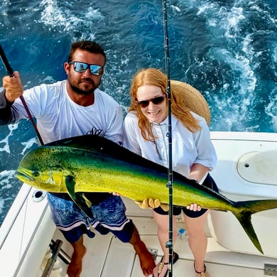 Mahi Mahi