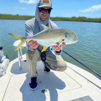 Jack Crevalle