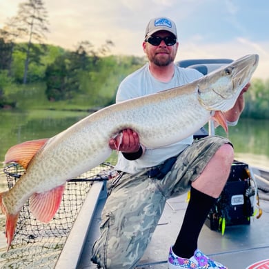 Muskie