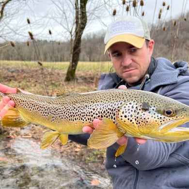 The 6 Best Fishing Guides in Helena, MT