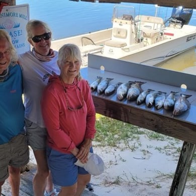 Bluefish