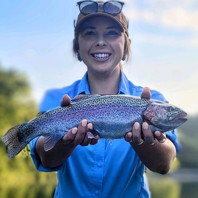 Rainbow Trout
