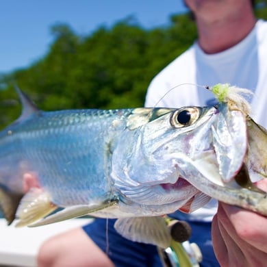 Islamorada