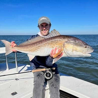Redfish