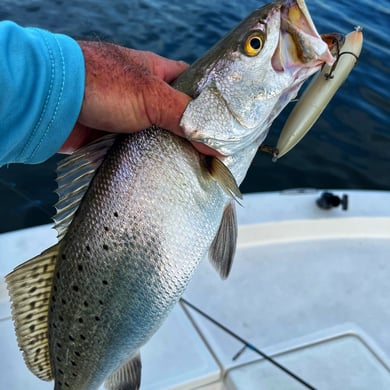 Inshore and Light Tackle Fishing in Crystal River Florida