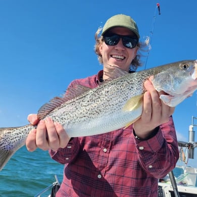 Weakfish