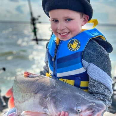 Blue Catfish