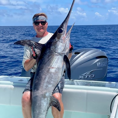Swordfish