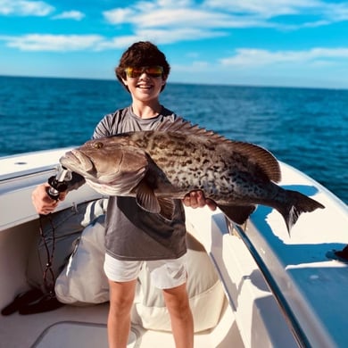 Gag Grouper