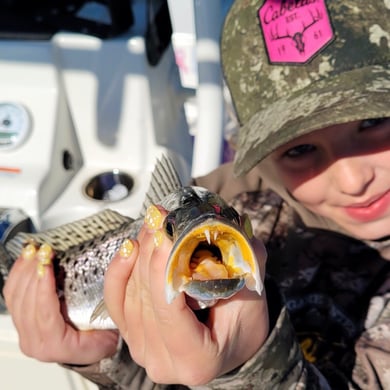 Speckled Trout