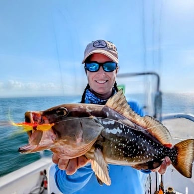 Red Grouper